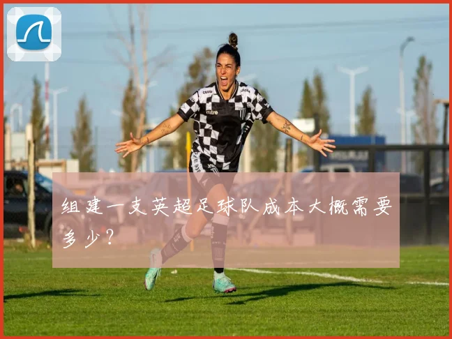 组建一支英超足球队成本大概需要多少?