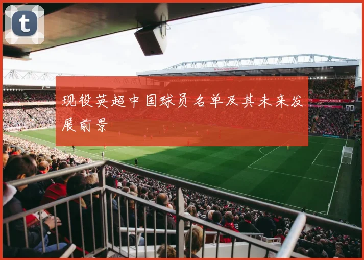 现役英超中国球员名单及其未来发展前景