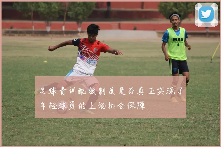 足球青训配额制度是否真正实现了年轻球员的上场机会保障