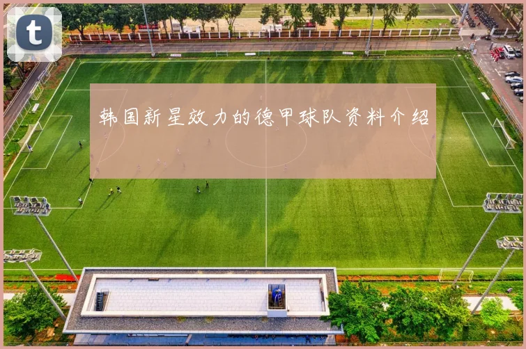 韩国新星效力的德甲球队资料介绍
