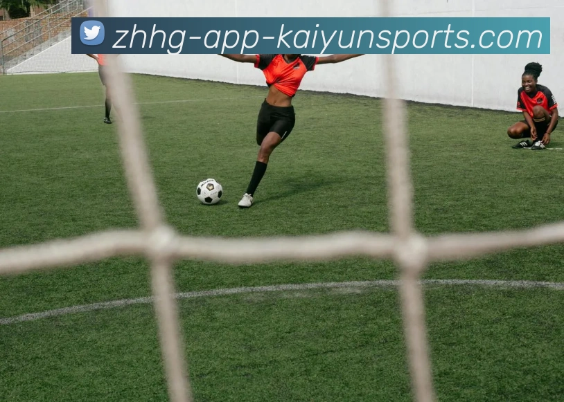 开云体育平台生态图